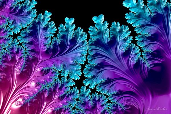 Begin Within 1.2 Print