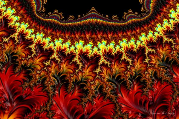 Begin Within 1.48 Print